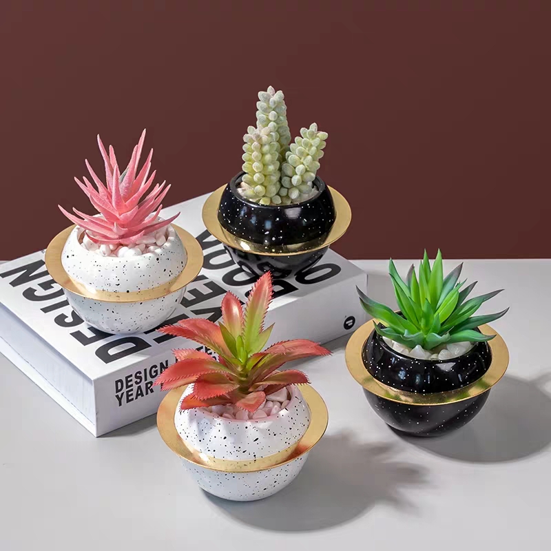 涵旅工艺品创意陶瓷星球仿真多肉植物盆栽盆景家居装饰摆件茶几电视柜餐桌桌面装饰品白底实物图