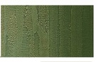 PLASTER马力诺玛莫系列涂料5kg花纹绿