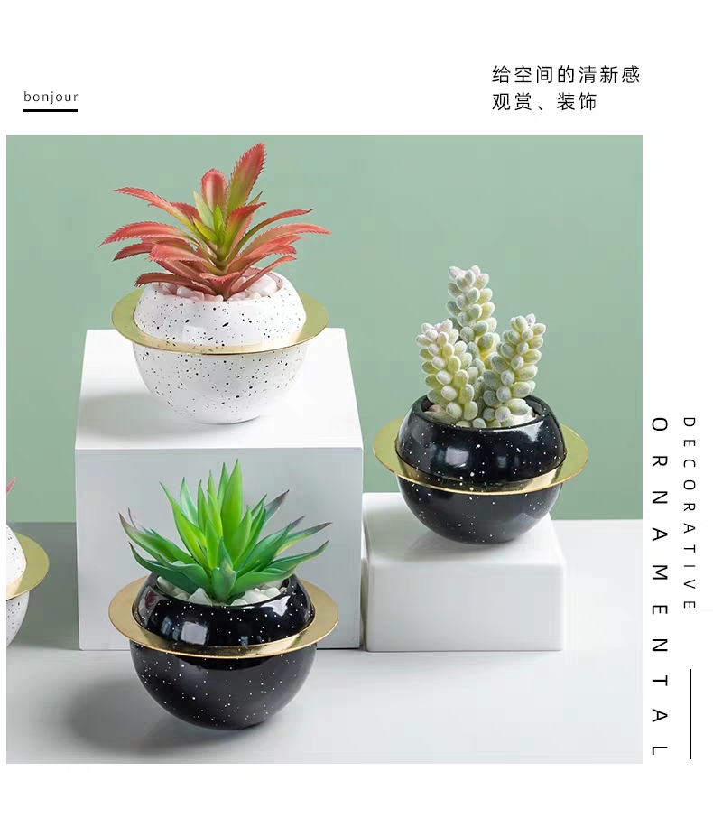 涵旅工艺品创意陶瓷星球仿真多肉植物盆栽盆景家居装饰摆件茶几电视柜餐桌桌面装饰品详情图7