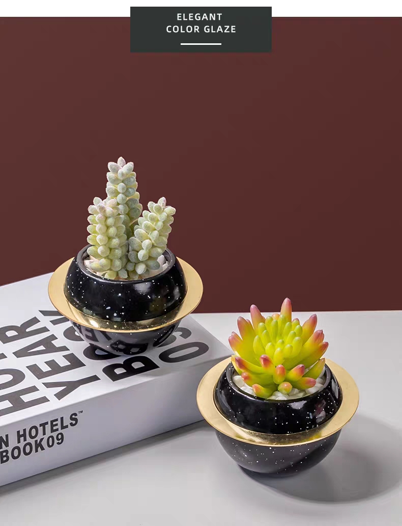 涵旅工艺品创意陶瓷星球仿真多肉植物盆栽盆景家居装饰摆件茶几电视柜餐桌桌面装饰品详情图9