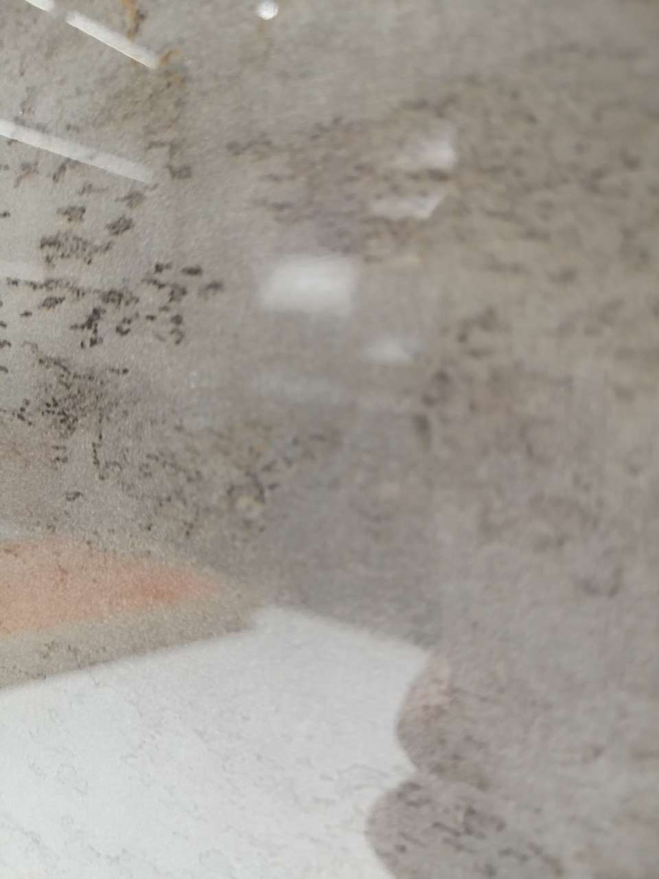 格惠板材精选定制轻奢高光云石板/绒面肤感板柜材/㎡ 山林产品图