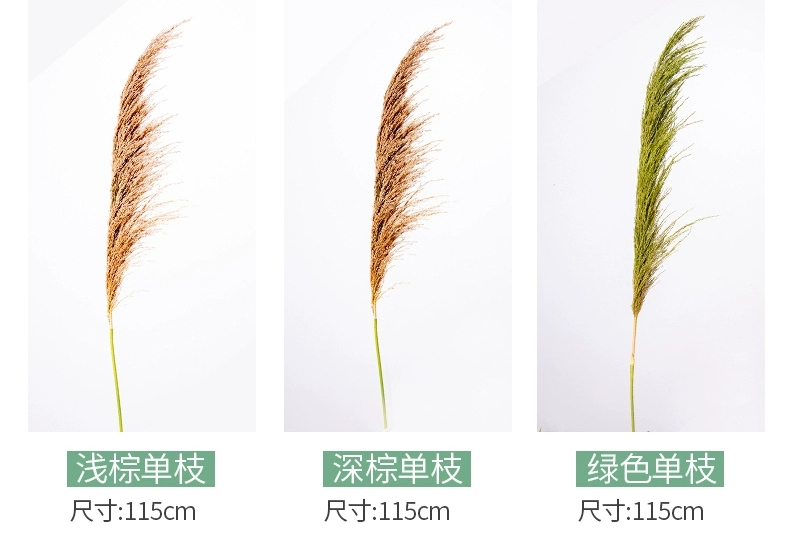 Single reed onion grass wedding decorative items, window display decoration props, and visual merchandising ornaments undefined