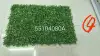 Artificial plant wall, artificial lawn, green plant wall decoration, encrypted eucalyptus lawn, plastic flower factory wholesale undefined