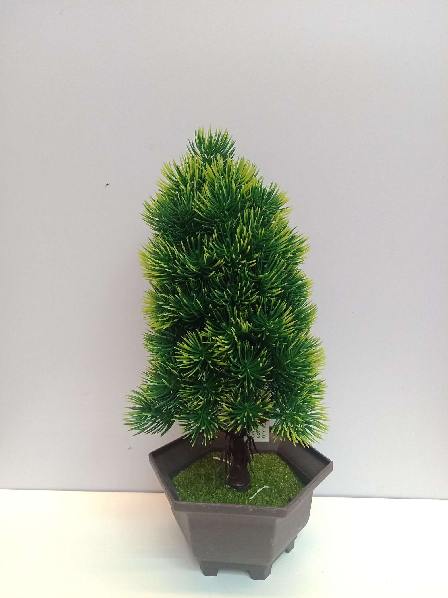 Pine tree