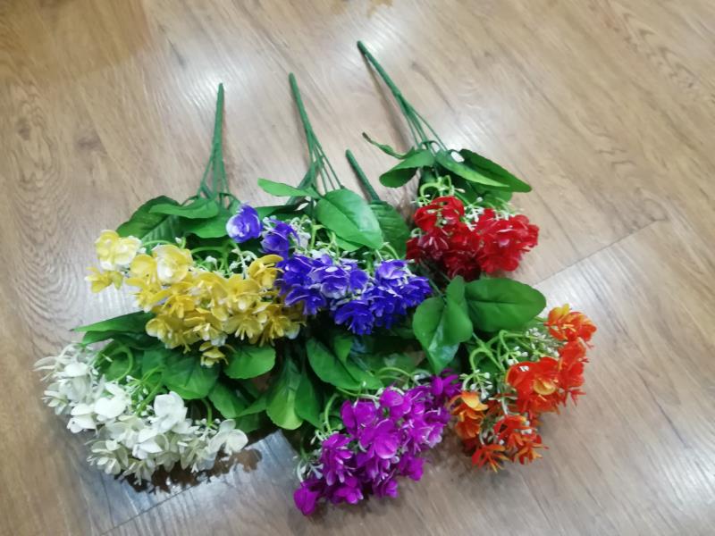 Five-pronged mini Phalaenopsis details Picture