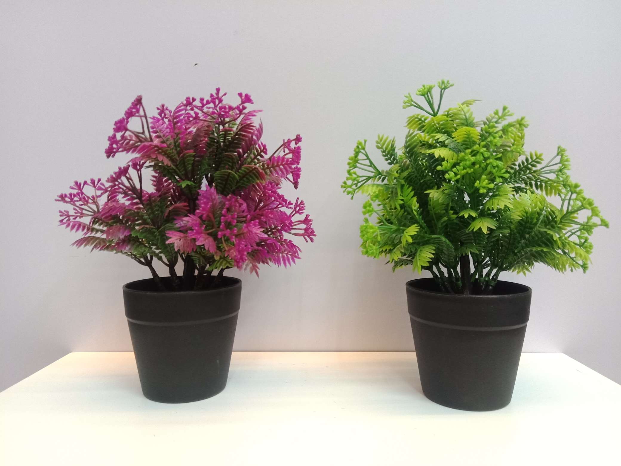 New grass pot