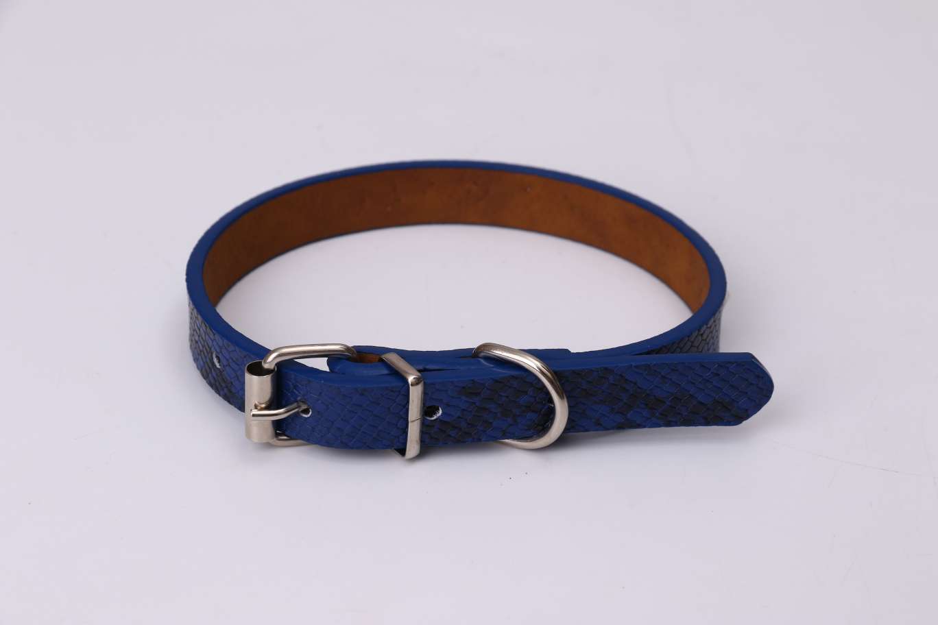 狗狗服装实物图