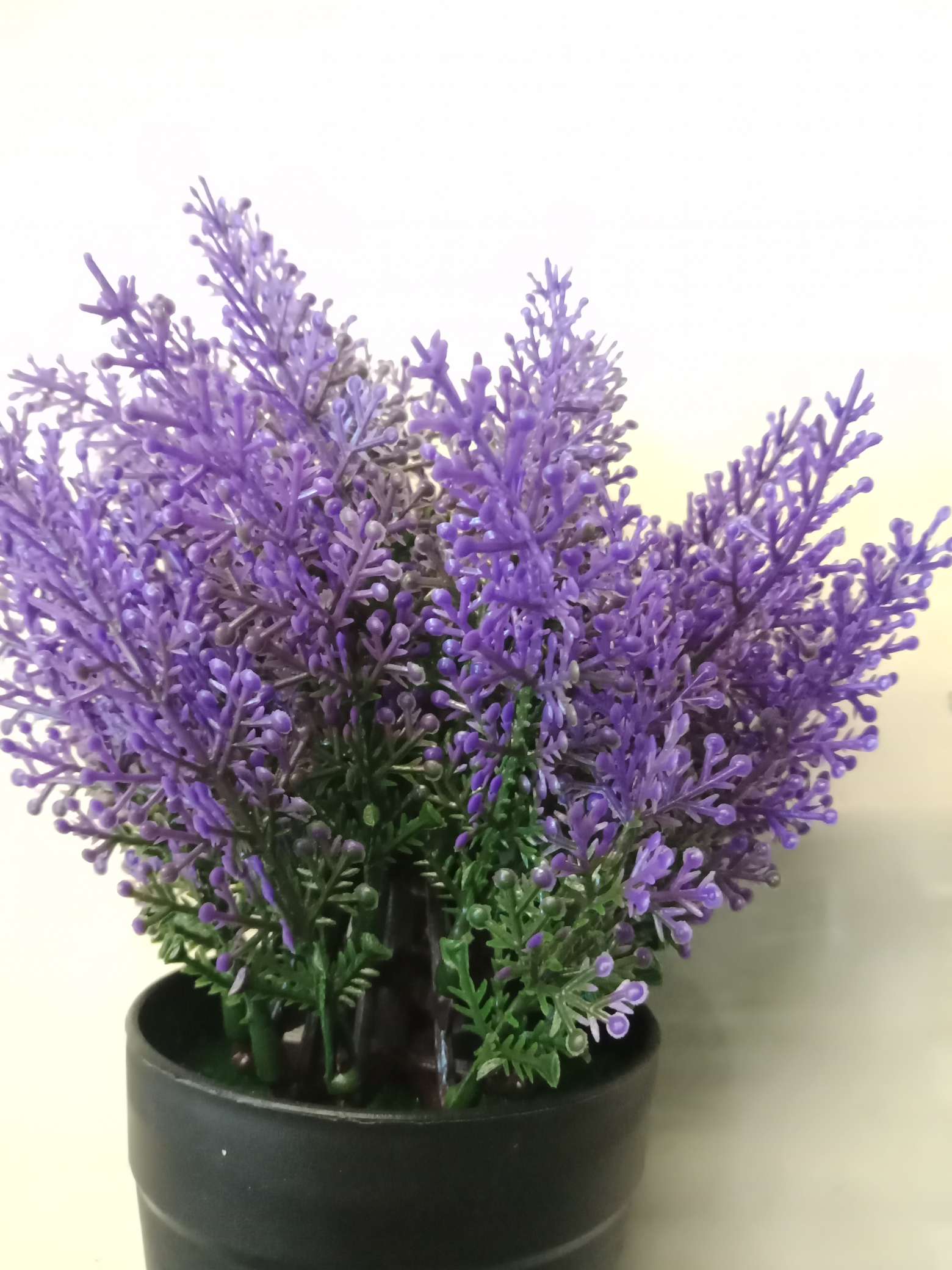 Lavender details Picture