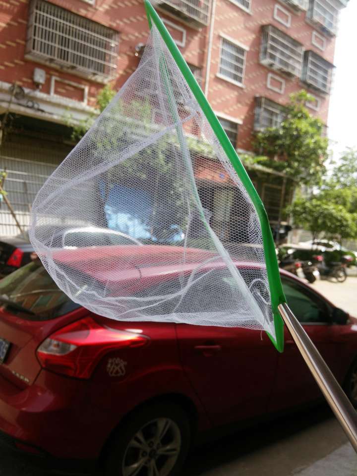 钓鱼类玩具实物图