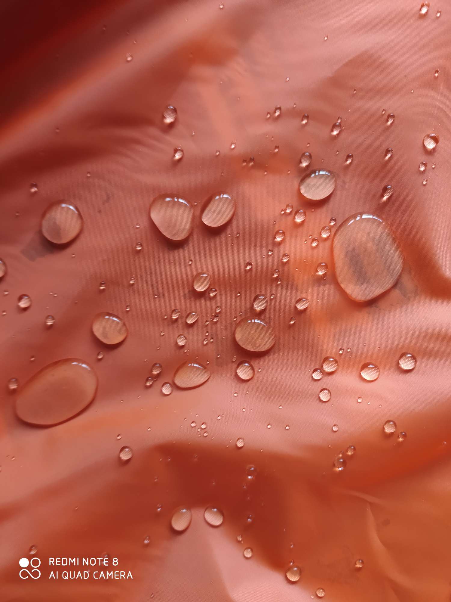 210T polyester taffeta orange red, waterproof