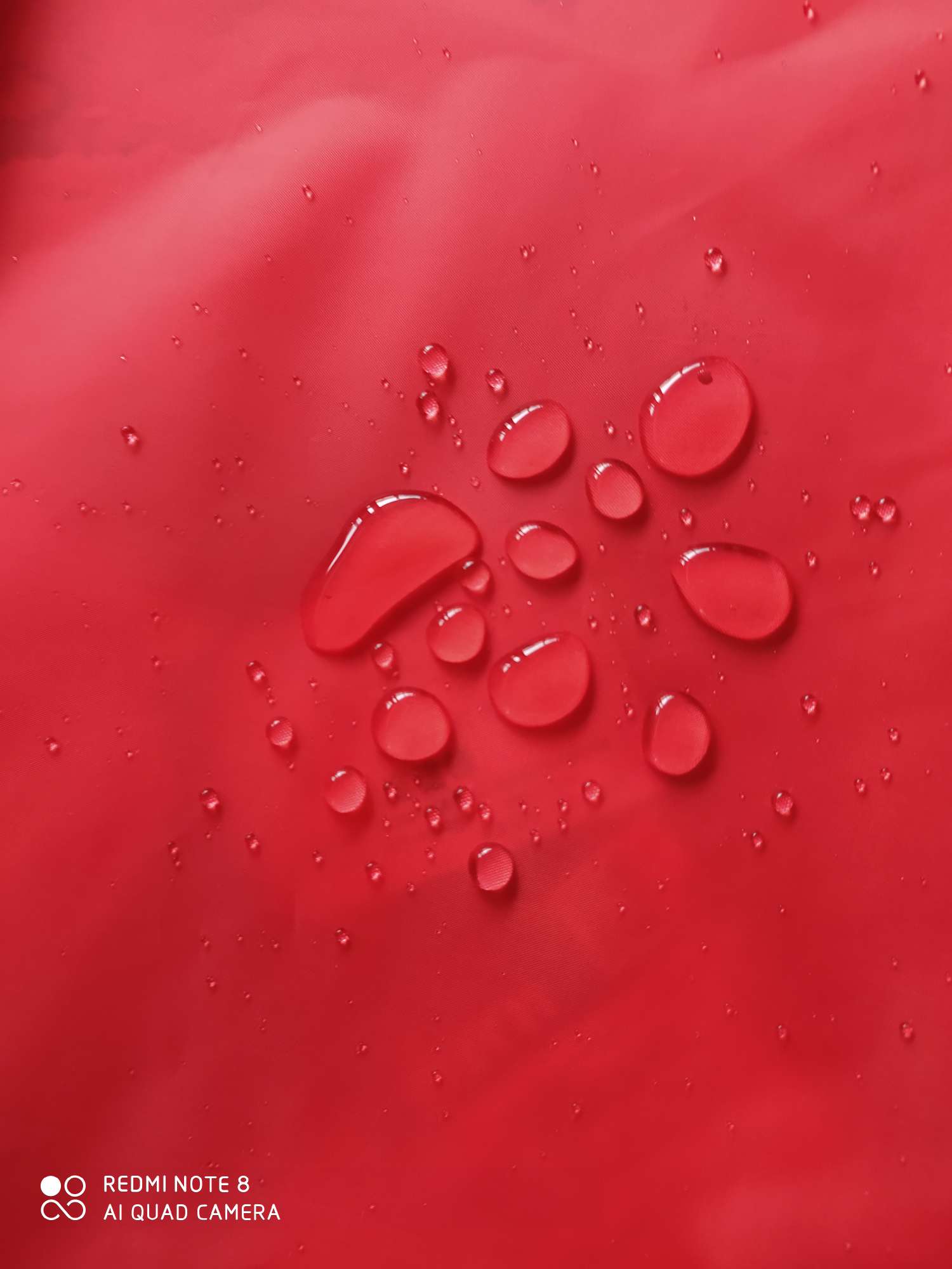 210T polyester taffeta red waterproof