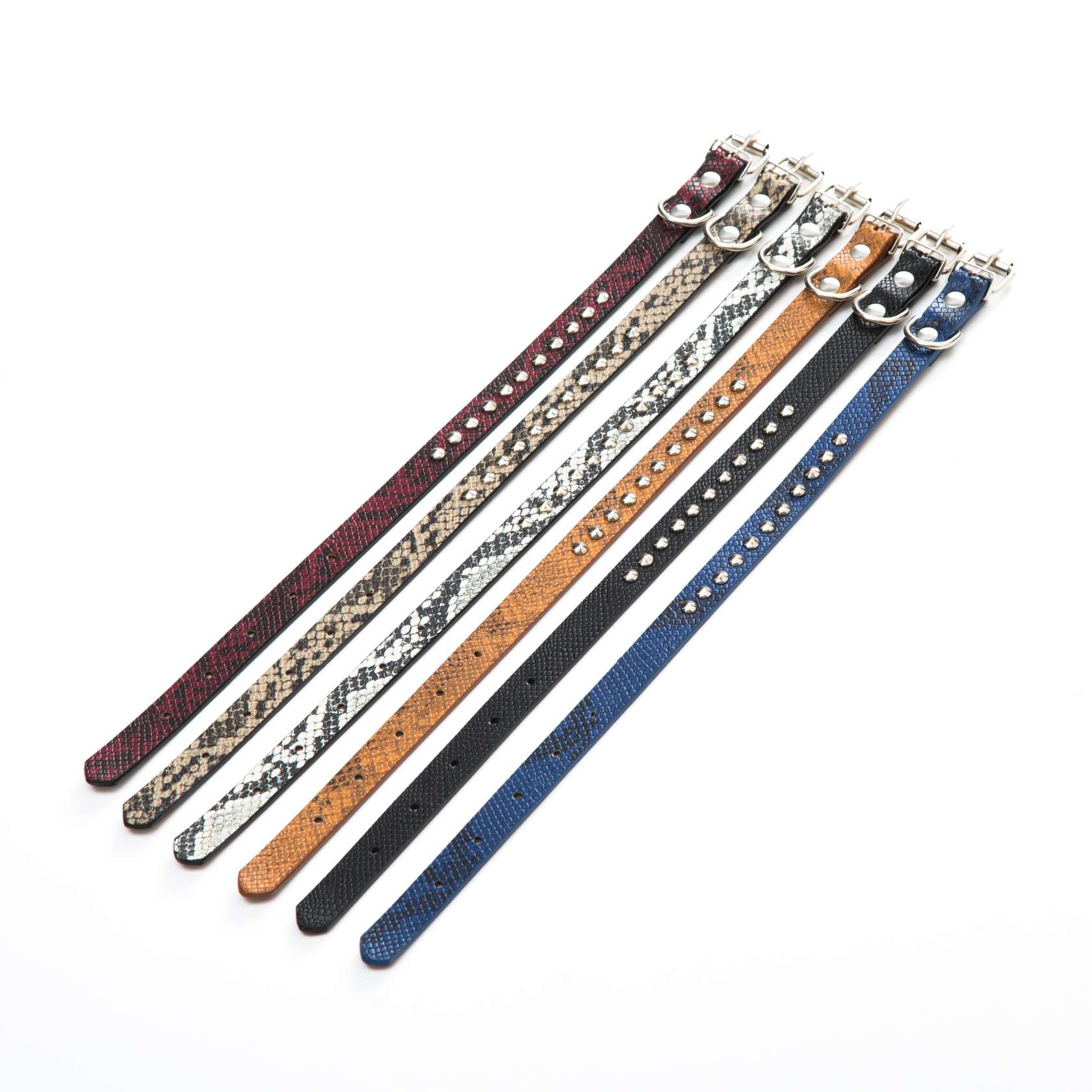 PU皮蛇皮纹/宠物宝宝项圈/宠物用品项圈白底实物图