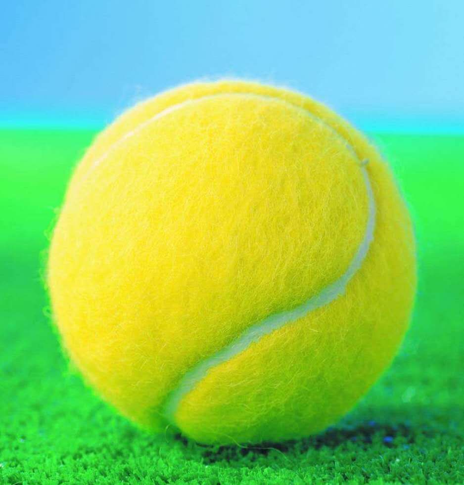 网球正品高弹力耐打初学训练网球耐磨按摩宠物球