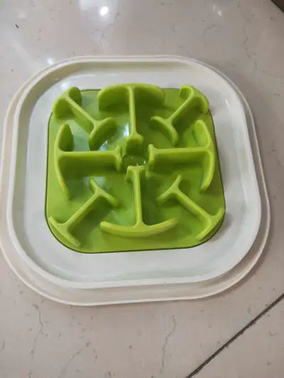Pet Maze Tray