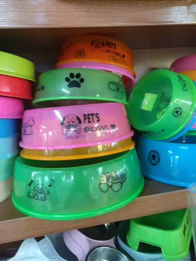 Pet Bowl 18