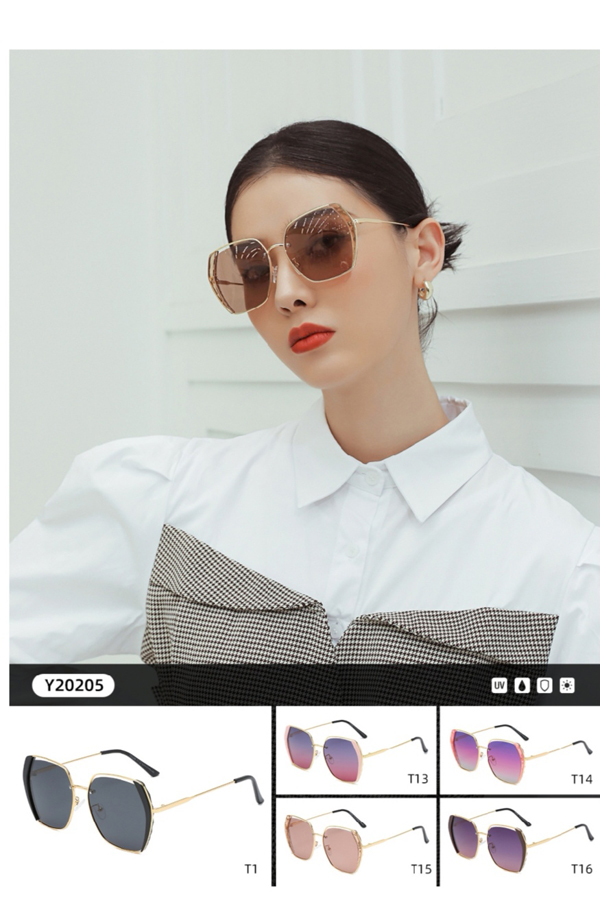 20205 Polarizer