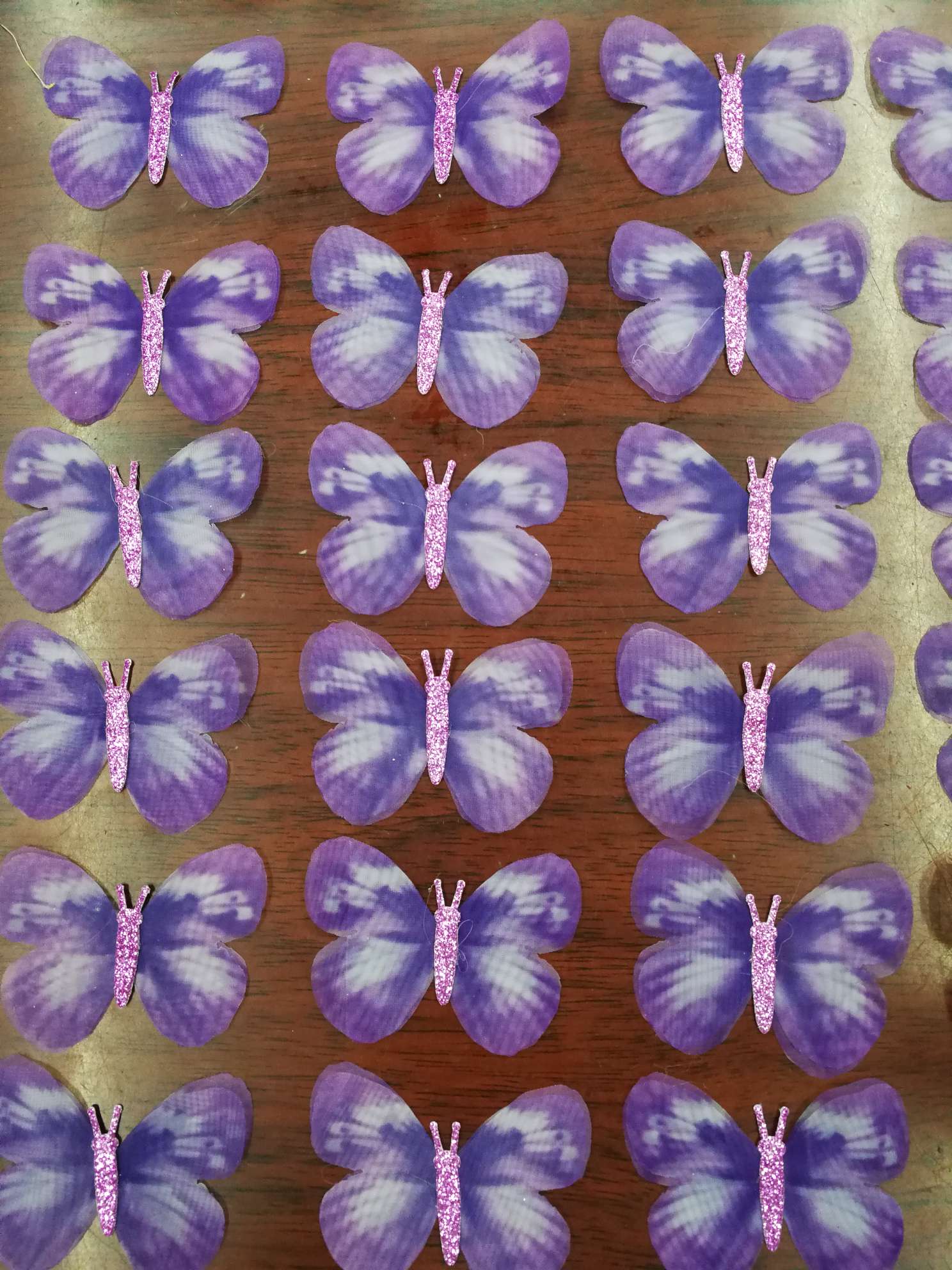 PVC蝴蝶细节图