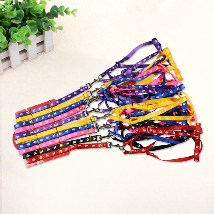 Dog leash