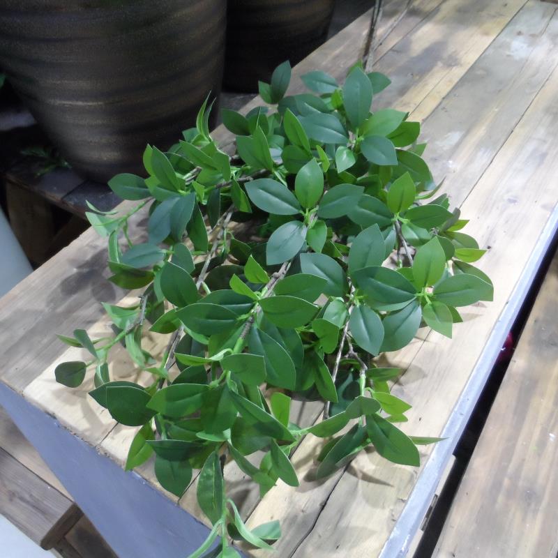 仿真单枝长杆冬青叶 园林布景做树假树叶 厂家直销