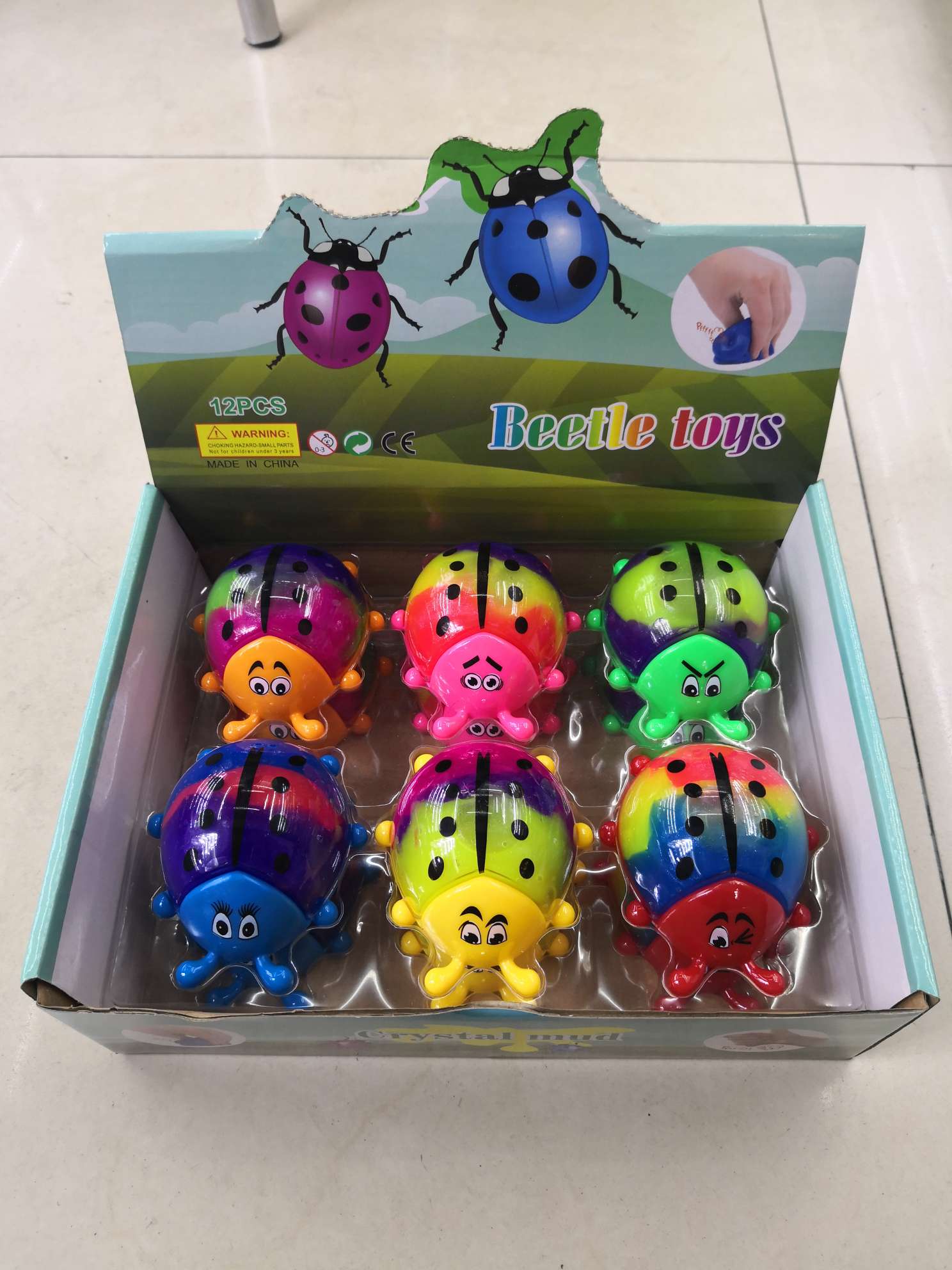Big colorful beetle