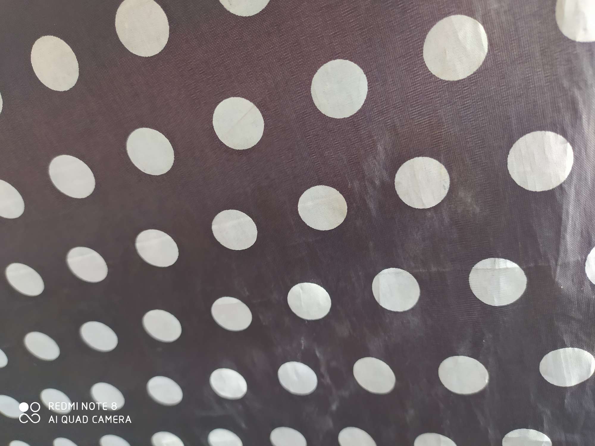 190T Polyester Taf 31# black polka dot print