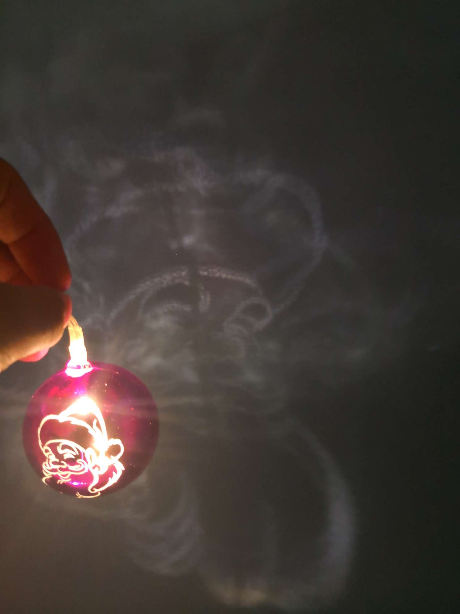 10灯LED圣诞球老人英文大象电池灯彩灯白底实物图