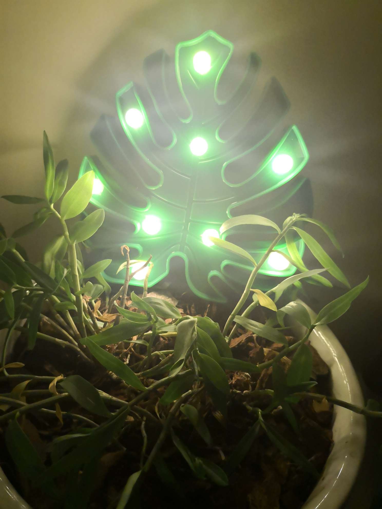 led树叶造型彩灯详情图9