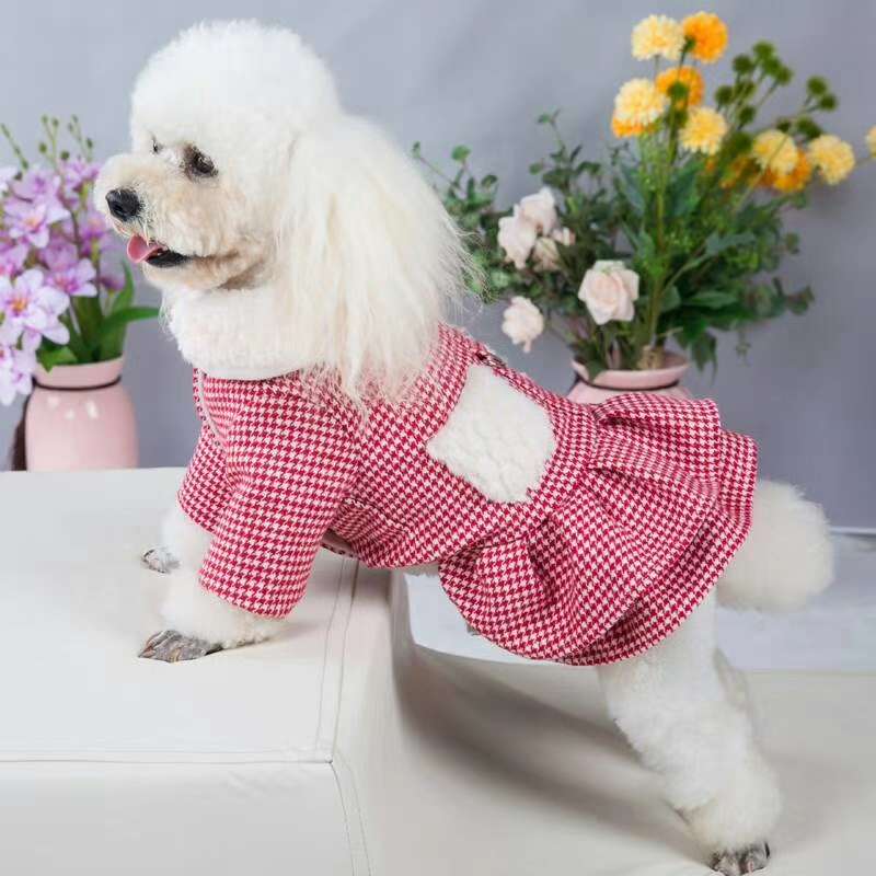 Thousands of birds princess dress winter clothes new shelves, autumn pet babies of the United States! Two colors, generous and beautiful!