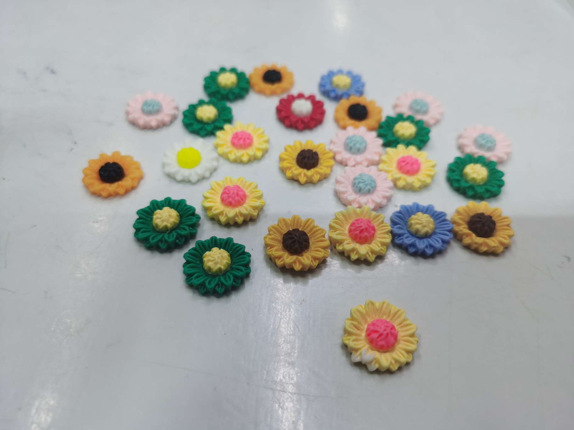 小雏菊