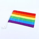 亚马逊专供个性化定制同性恋旗帜30*45cm彩虹旗车旗