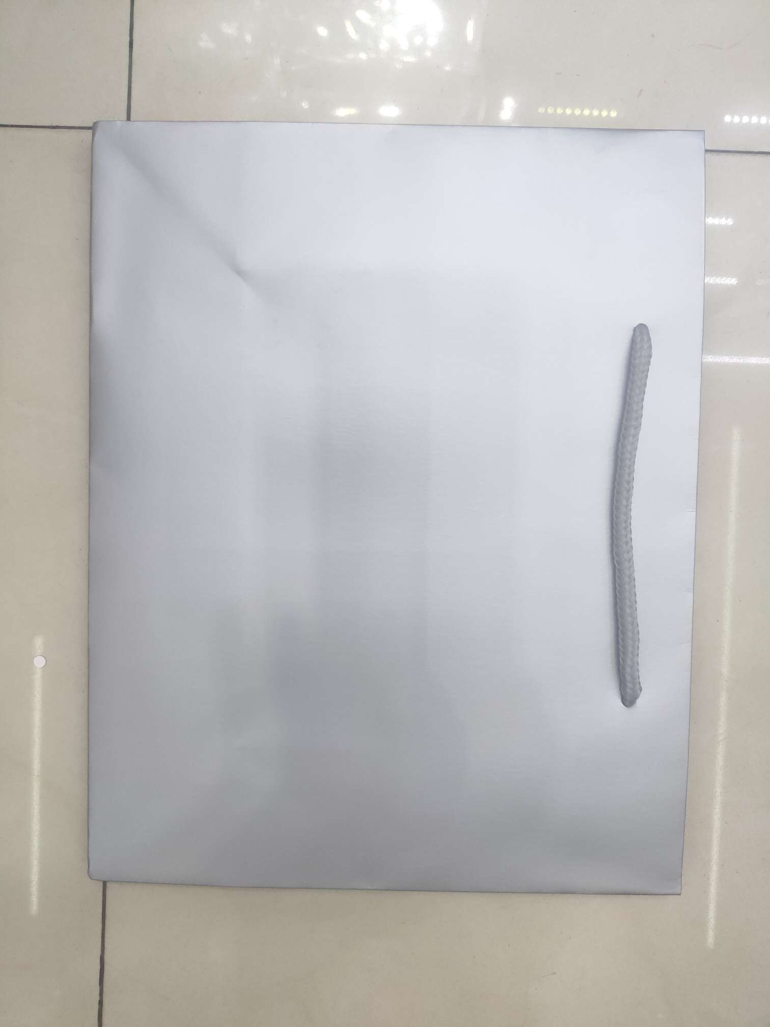 Gift Bag 20