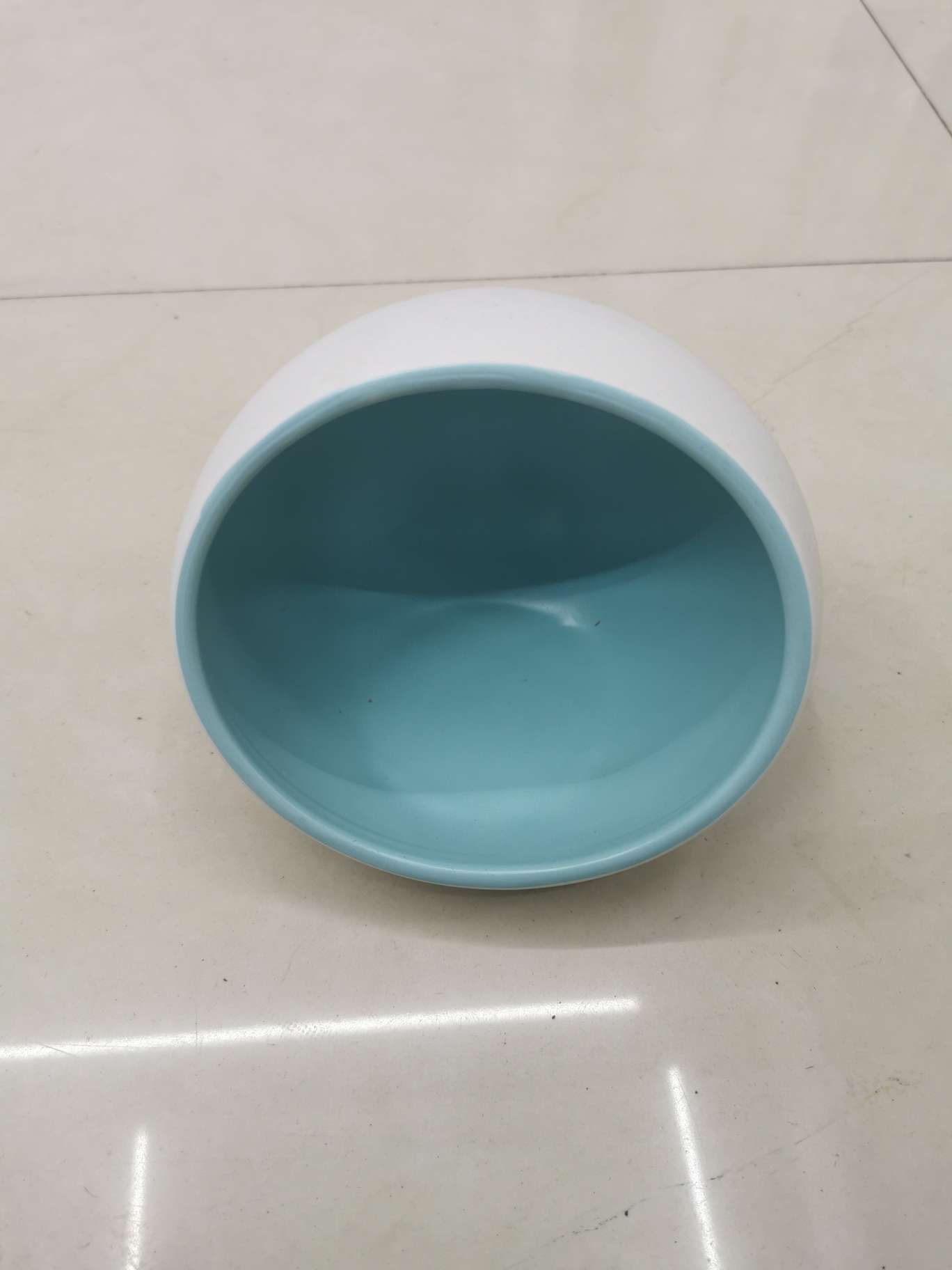 猫碗白蓝
