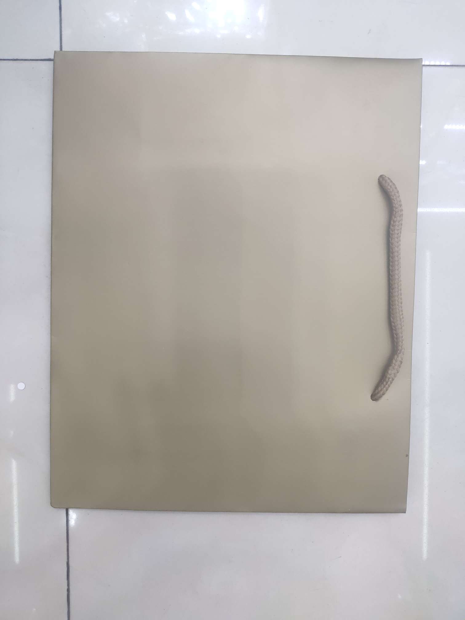 Gift Bag 21