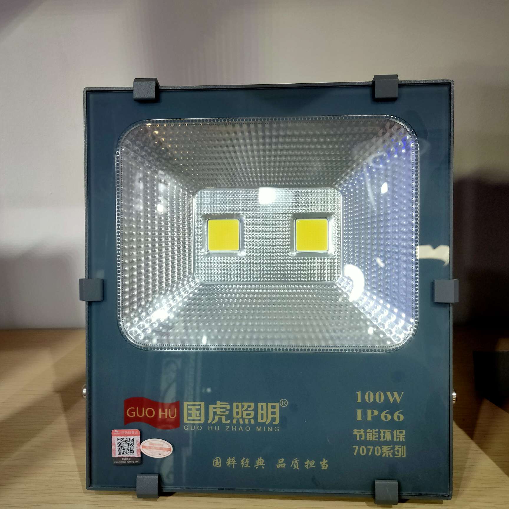 国虎照明7070系列户外灯100W欧洲爆款