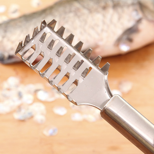 不锈钢鱼鳞刨厨房家用实用杀鱼刮鳞器去鱼鳞神器鱼刷金属工具打鳞白底实物图