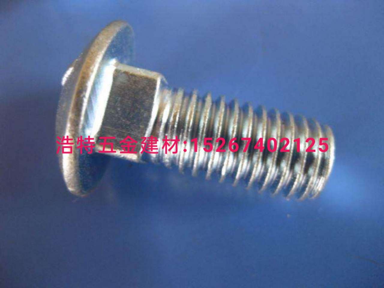 Carriage bolt hexagon socket screws Outer hexagon screws Galvanized standard screws Nut expansion screws Wood screws Teeth drilling screws Special type screws,