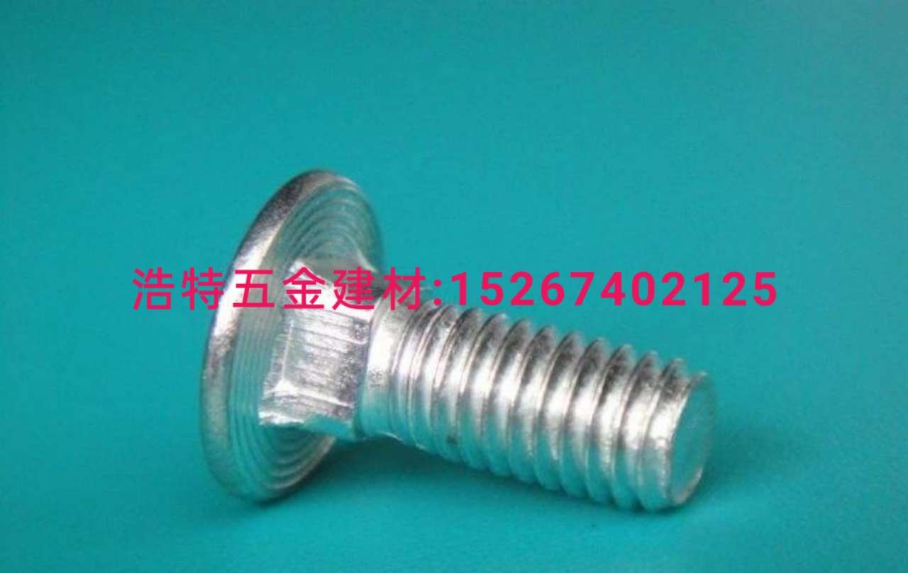 Carriage bolt hexagon socket screws Outer hexagon screws Standard screws nut expansion screws Wood screws teeth drilling screws Special type screws 5