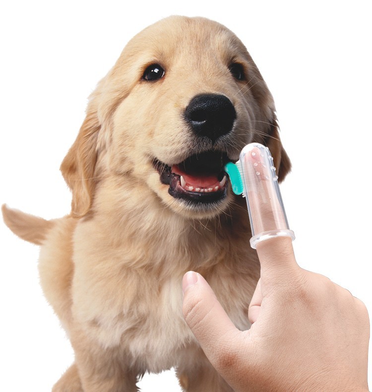 盒装狗牙刷猫狗牙齿护理超柔软的宠物手指牙刷详情图6