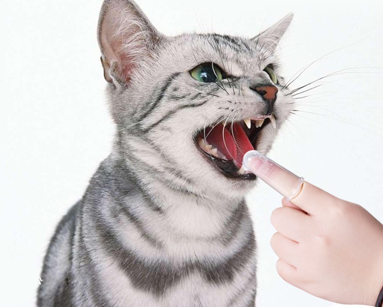 盒装狗牙刷猫狗牙齿护理超柔软的宠物手指牙刷详情图8