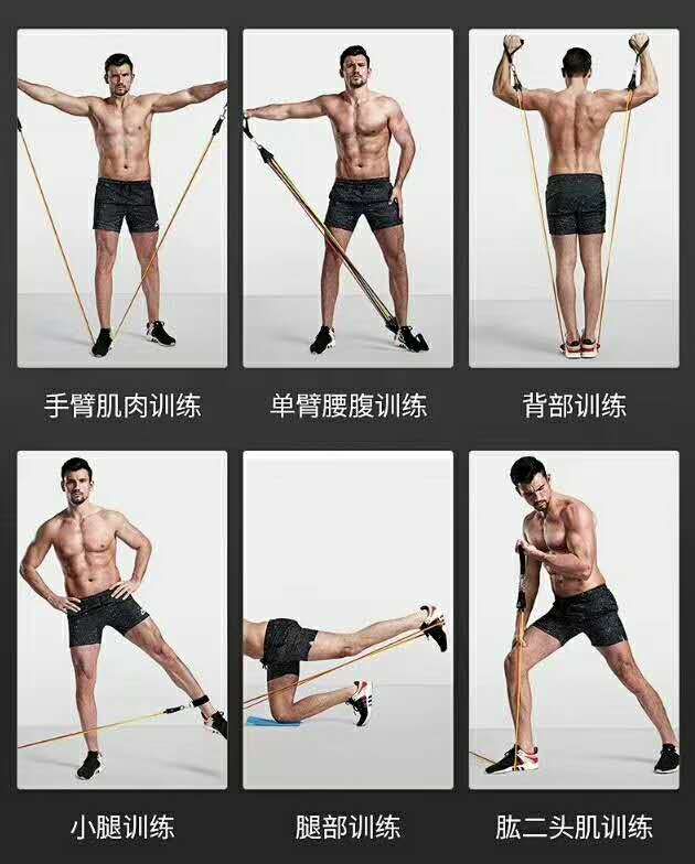 健身拉力带产品图