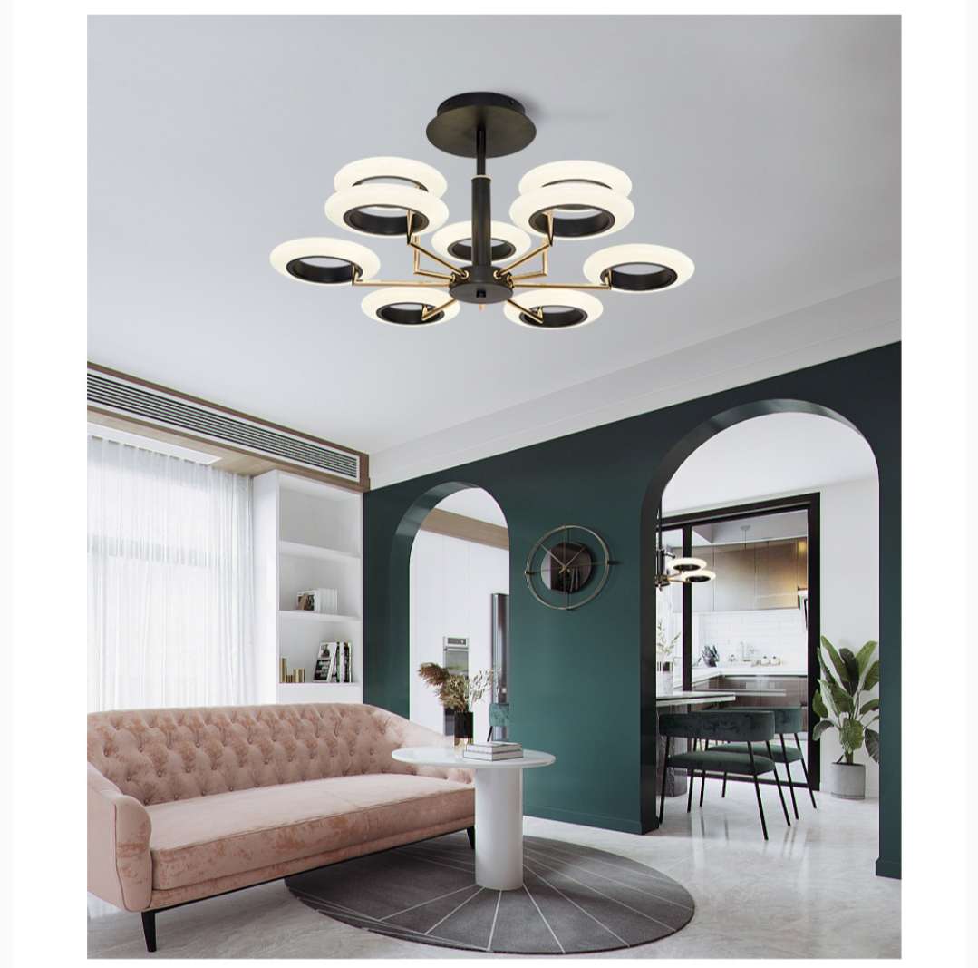 Ironwork, painted and frosted, light luxury ceiling lamp for dining room, bedroom and study detail image 1
