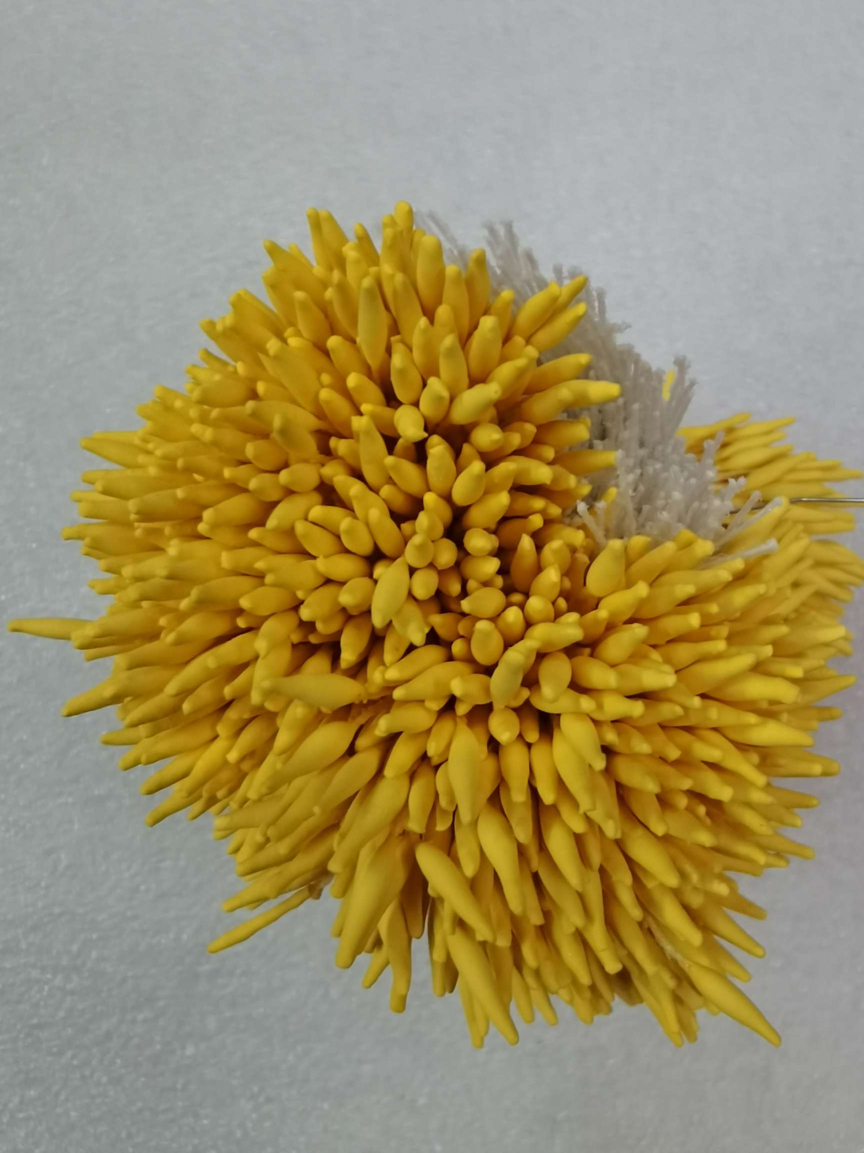 Single pointed tip