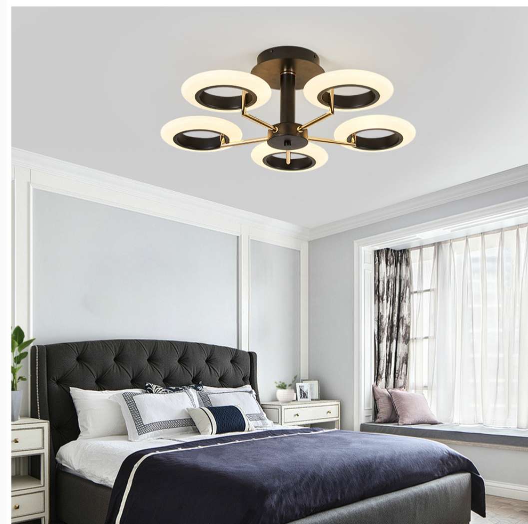 Ironwork, painted and frosted, light luxury ceiling lamp for dining room, bedroom and study