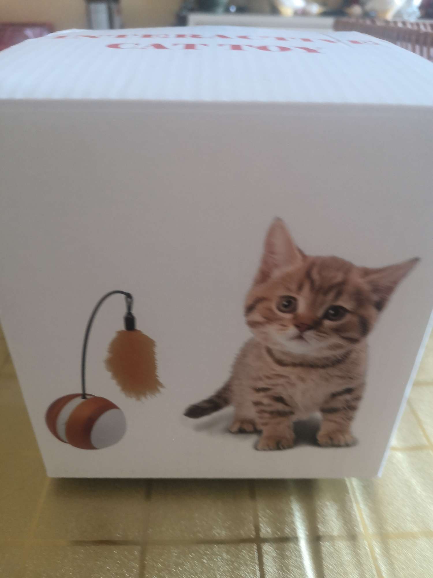 自动逗猫逗狗玩具，会发声可以自动来回滚动，充电可随时随地玩耍！详情2