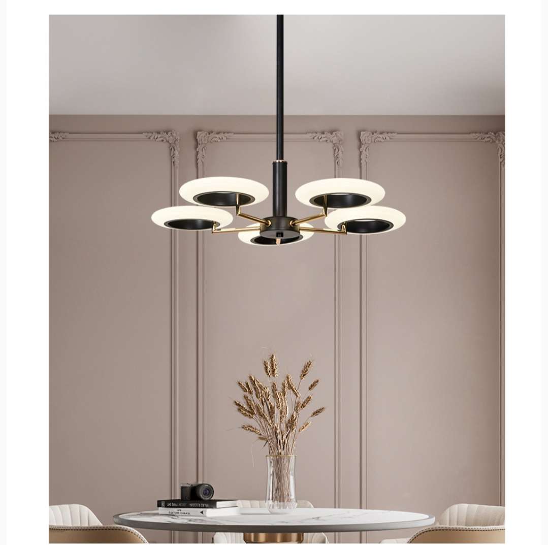 Ironwork, painted and frosted, light luxury ceiling lamp for dining room, bedroom and study Specification image