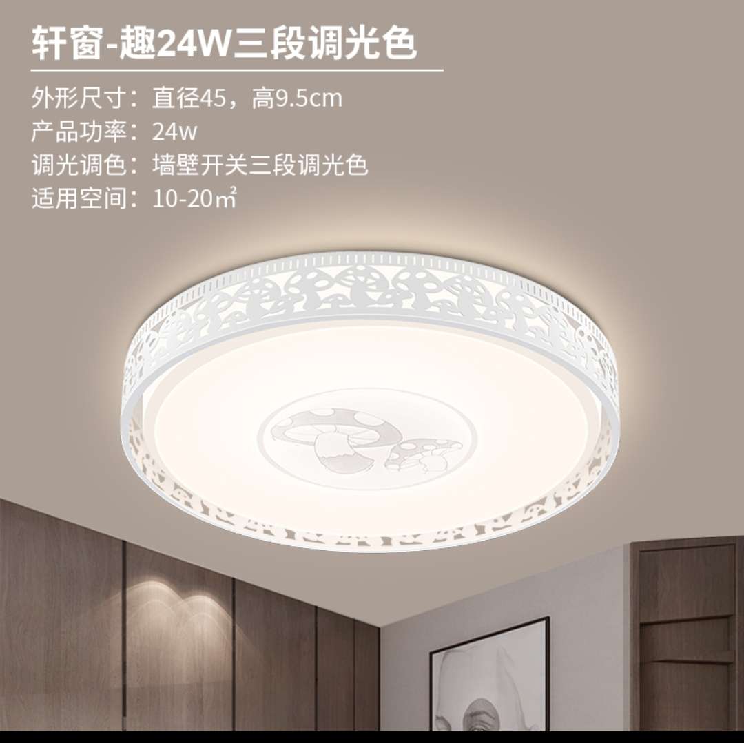 Hongyan LED ceiling light, bedroom light, balcony light, simple and modern window light - Fun 24W three-stage dimming
