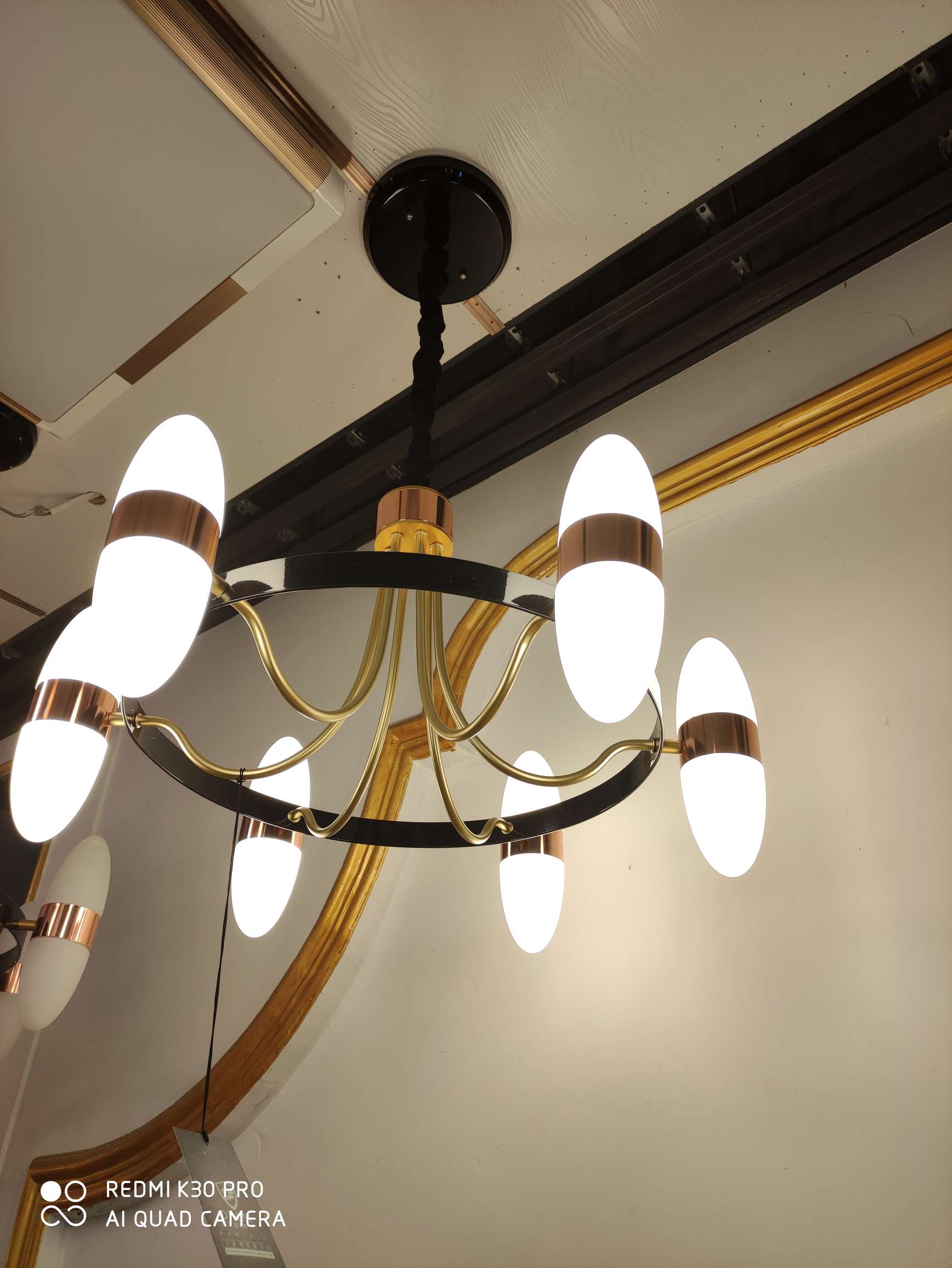 6-head hanging modern art style iron black ring lampshade, frosted LED neutral light source details Picture