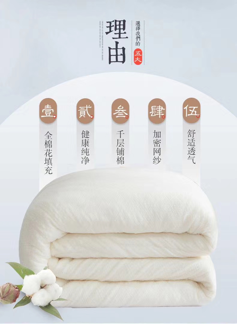 Xinjiang Cotton Winter Quilt