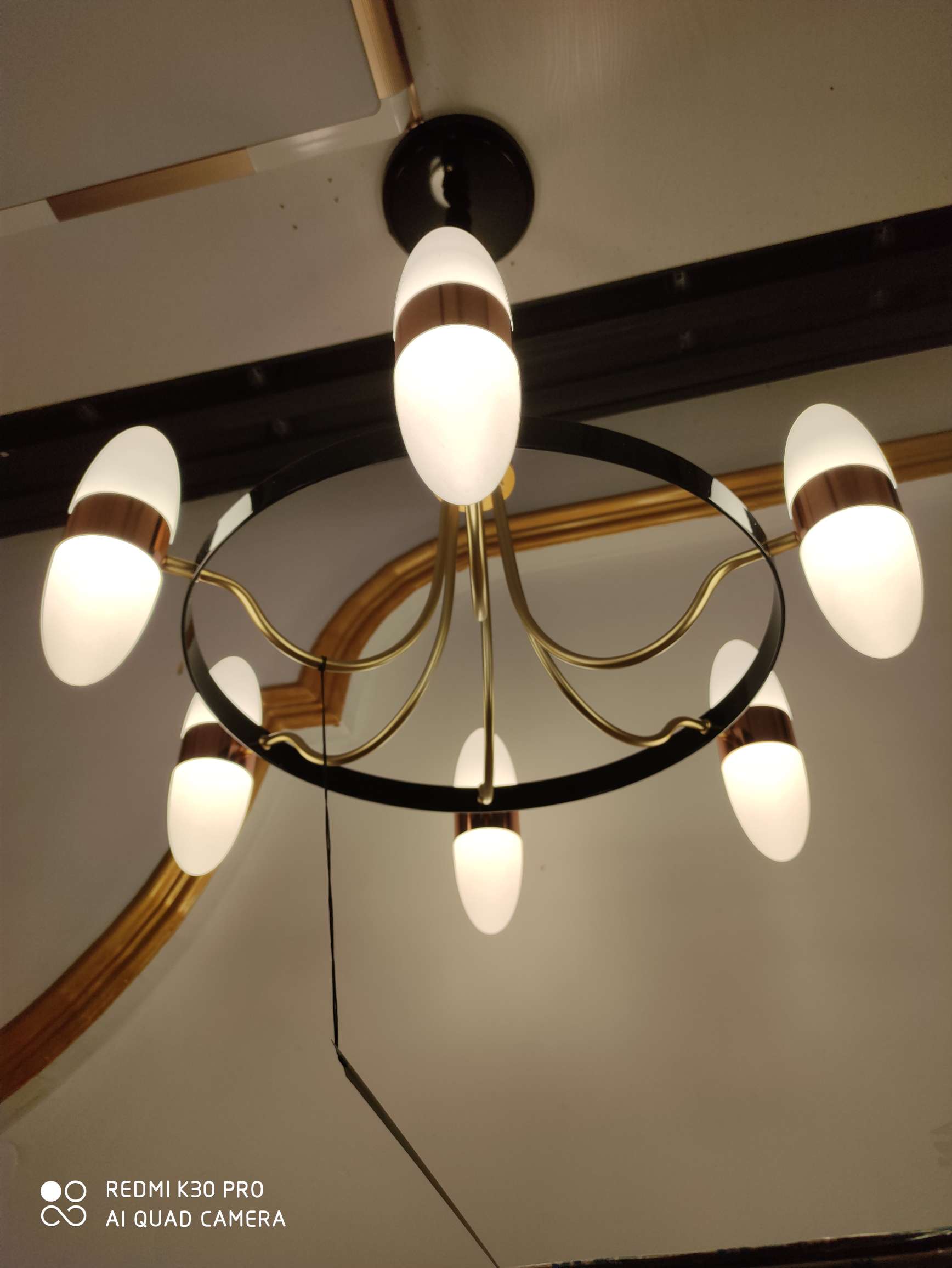 6-head hanging modern art style iron black ring lampshade, frosted LED neutral light source