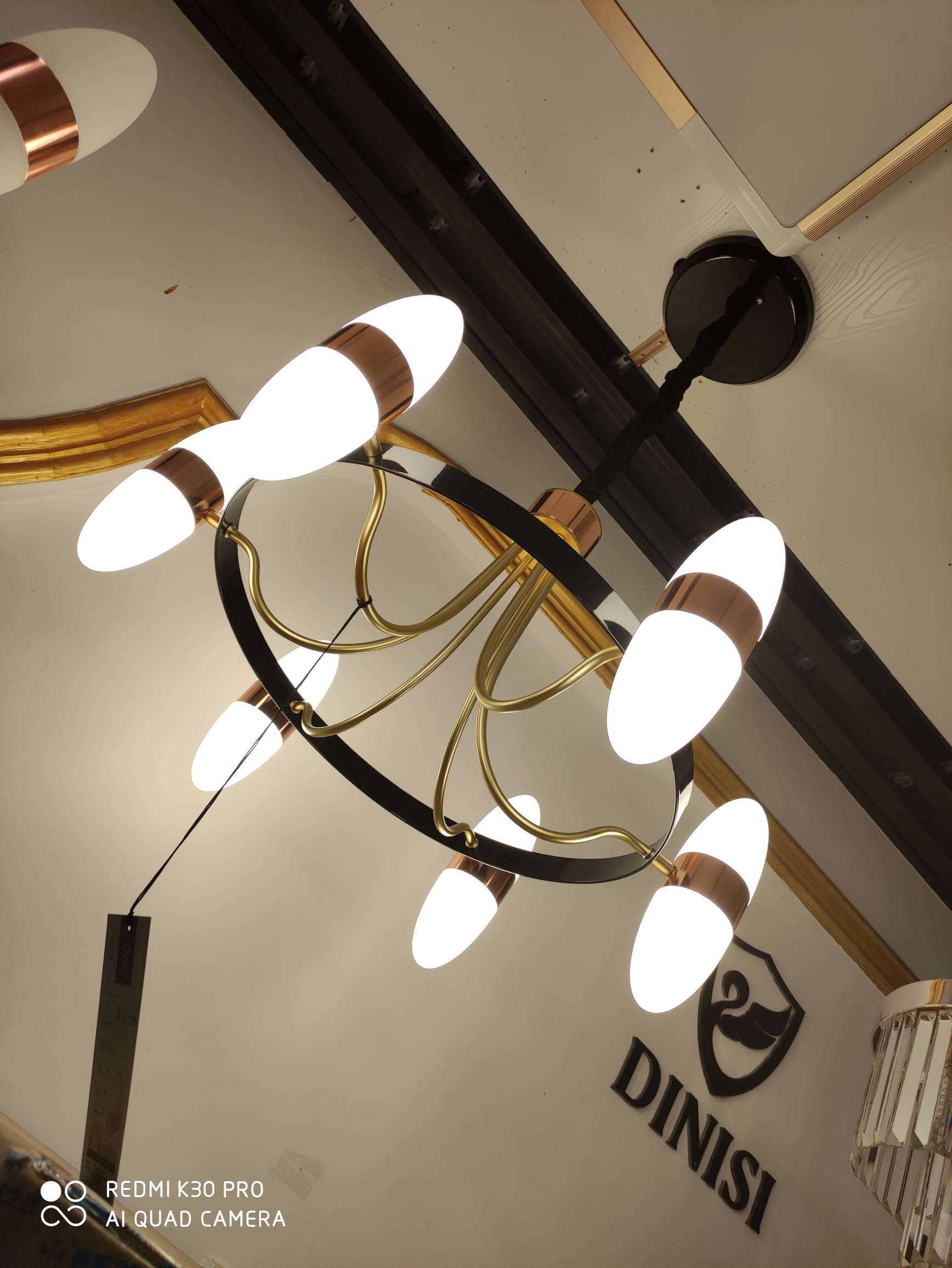 6-head hanging modern art style iron black ring lampshade, frosted LED neutral light source Application Scenario